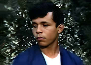 Педро Терра