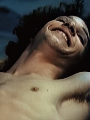 Алан Шпиц