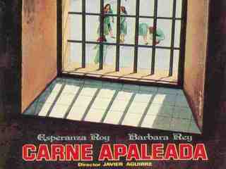 Побитое мясо (1973)