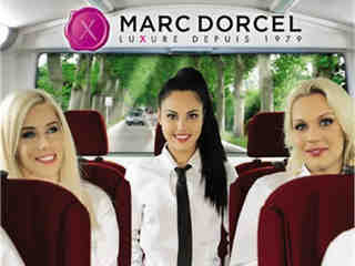 Российский институт: Коктейль (2019)