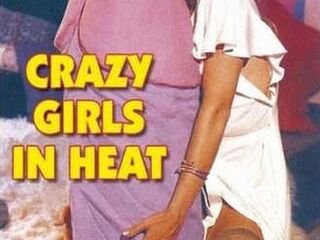 Мои ночные отношения (1976)