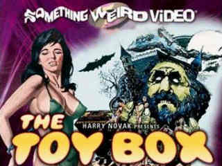 Коробка для игрушек (1971)