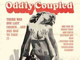 По странности встретившиеся (1970)