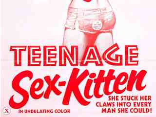 Сексуальные кошечки-подростки (1975)