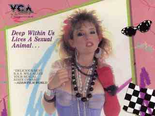 Сексуально измененные Штаты (1985)