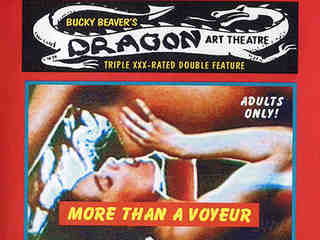 Больше, чем вуайерист (1973)