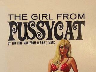 Девушка из киски (1969)