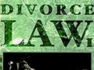 Закон о разводе (1993)