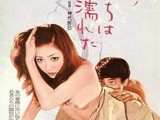 Любители кисок (1973)