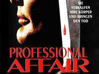 Профессиональный роман (1995)