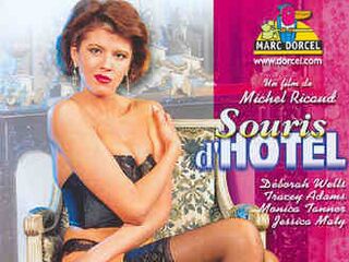 Гостиничная мышь (1991)