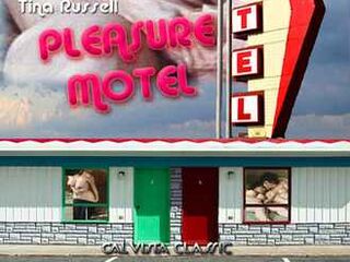 Мотель удовольствий (1973)