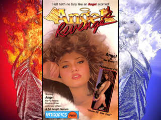 Месть Ангела (1985)